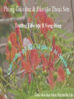 Mùa hoa phượng nở