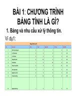 chuong trinh bang tinh la gi