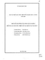 Một số giải pháp xóa đói giảm nghèo đối với các dân tộc thiểu số tại chỗ ở Tây Nguyên