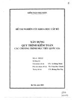 Xây dựng quy trình kiểm toán các chương trình mục tiêu Quốc Gia