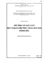 Mô hình và giải pháp quy hoạch kiến trúc vùng sinh thái Đông Bắc