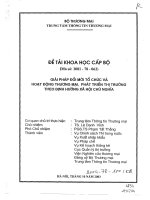 Giải pháp đổi mới tổ chức và hoạt động thương mại, phát triển thị trường theo định hướng xã hội chủ nghĩa