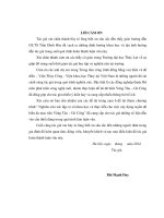 nghiên cứu giải pháp xây dựng đê biển vũng tàu – gò công bằng tổ hợp xà lan bê tông cốt thép với vật liệu tại chỗ