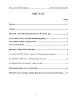 Tiểu luận: Một số giải pháp mở rộng hệ thống phân phối dịch vụ Megacamera của công ty Cổ phần Kim Phương Hoàng