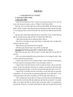 Đề tài giao dịch dân sự vô hiệu một số vấn đề lý luận và thực tiễn