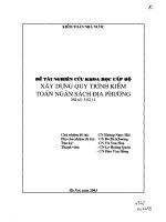 Xây dựng quy trình kiểm toán ngân sách địa phương