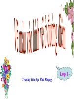 trang tri duong diem ao vay