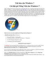 Việt hóa Window 7