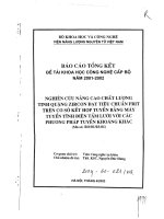 Nghiên cứu nâng cao chất lượng tinh quặng Zircon đạt tiêu chuẩn Frit trên cơ sở kết hợp tuyển bằng máy tuyển tĩnh điện tấm lưới với các phương pháp tuyển khoáng khác