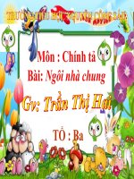 NGÔI NHÀ CHUNG ( CT )