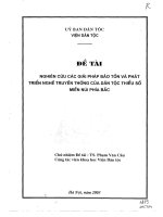 Nghiên cứu các giải pháp bảo tồn và phát triển nghề truyền thống của dân tộc thiểu số miền núi phía Bắc