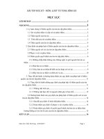 Đề tài thẩm quyền của tòa án cấp phúc thẩm trong tố tụng hình sự