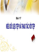 Bai 17.Kiểu dữ liệu tệp và thao tác với tệp