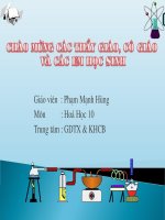 bai33: Axit sunfurric và muối sunfat