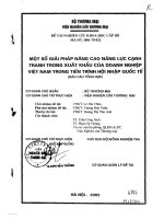 Một số giải pháp nâng cao năng lực cạnh tranh trong xuất khẩu của doanh nghiệp Việt Nam trong tiến trình hội nhập Quốc Tế