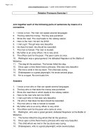 RELATIVE PRONOUNS - EX