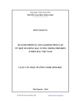 So sánh trình tự gen GmDREB2 phân lập từ một số giống đậu tương trồng phổ biến ở miền Bắc Việt Nam