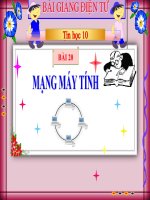 bài giảng tin học 10 bài 20 mạng máy tính