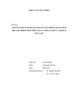 PHƯƠNG PHÁP PCR KHUYẾCH ĐẠI GEN THYAMIDINE KINASE PHÁT HIỆN KOI HERPESVIRUS TRÊN LOÀI CÁ CHÉP (CYPRINUS CARPIO) Ở  VIỆT NAM