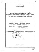 Một số giải pháp nhằm phát triển thương mại hàng hóa Việt Nam, Trung Quốc qua biên giới trên bộ thời kỳ đến năm 2005