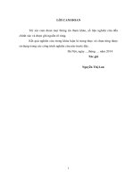 Đánh giá kết quả thực hiện nghị quyết 30a2008NQ – CP  tại địa bàn xã sốp cộp, huyện sốp cộp, tỉnh sơn la, giai đoạn 2009 2013