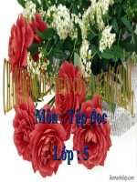 Sang năm con lên bảy