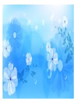 Bộ hình nền tuyệt đẹp