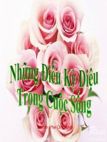 Những điều kỳ diệu trong cuộc sống