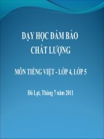 Bồi dưỡng hè 2011_Tiếng Việt L 4,5