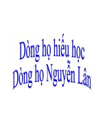 Dòng họ hiếu học: dòng họ Nguyễn Lân