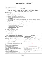 Giao an Hinh 11 - Co ban