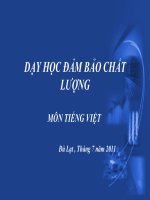 Tài liệu bồi dưỡng Tiếng Việt hè 2011