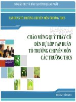 Tập huấn chuyên môn - Tổ trưởng