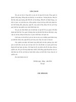 nghiên cứu xu thế biến đổi lòng dẫn sông hồng giai đoạn 2020 - 2050 và đề xuất các giải pháp ổn định lòng dẫn