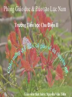 Nguyễn văn Tiến 1