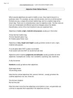 ADJS ODER BEFORE NOUNS