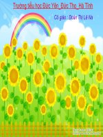 Em vẫn nhớ trường xưa