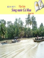 Tiết 77 - Sông nước Cà Mau (Vũ Hải)