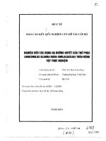 Nghiên cứu tác dụng hạ đường huyết của Thổ Phục Linh (Smilax Glabra Roxb Smilacaceae) trên động vật thực nghiệm