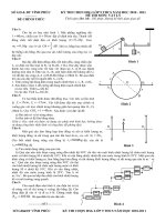 HSG Vĩnh Phúc 2010 - 2011