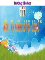 TNXH bài 1 tuần 1