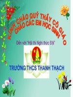 Hội thi Nghi thức Đội
