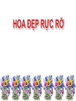 khung hinh hoa dep tu lam