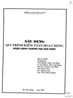 Xây dựng qui trình kiểm toán hoạt động ngân hàng thương mại Nhà Nước