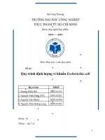 quy trình định lượng vi khuẩn escherichia coli