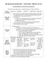 CD TRUONG MAM NON 5-6T