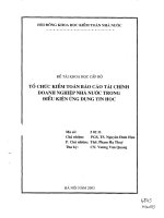 Tổ chức kiểm toán báo cáo tài chính doanh nghiệp nhà nước trong điều kiện ứng dụng tin học