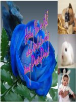 Huong dan tao cac hieu ung PP