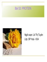 bài 53: protein