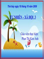 TN-XH Lớp 3: Các thế hệ trong một gia đình